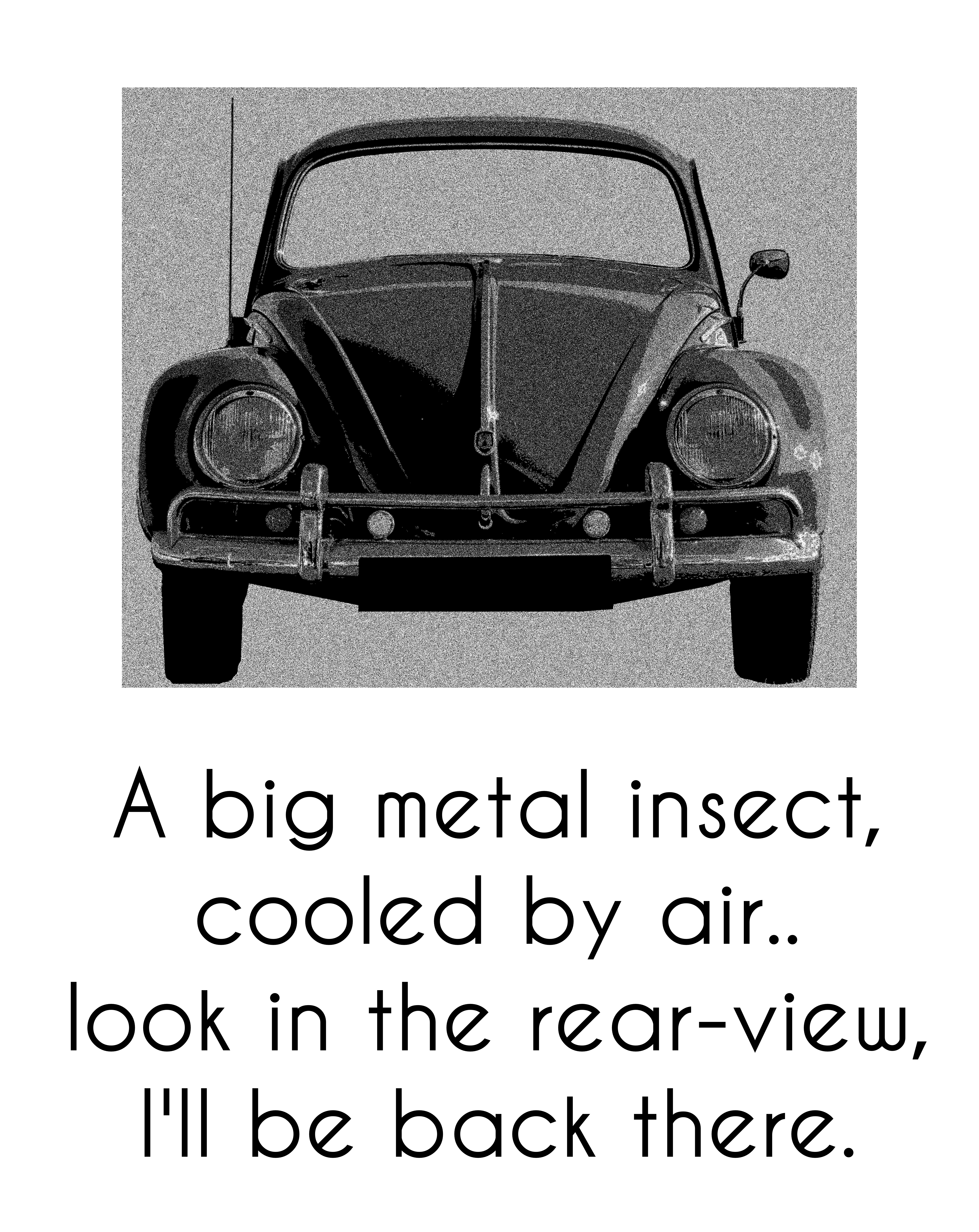 Bug poem
