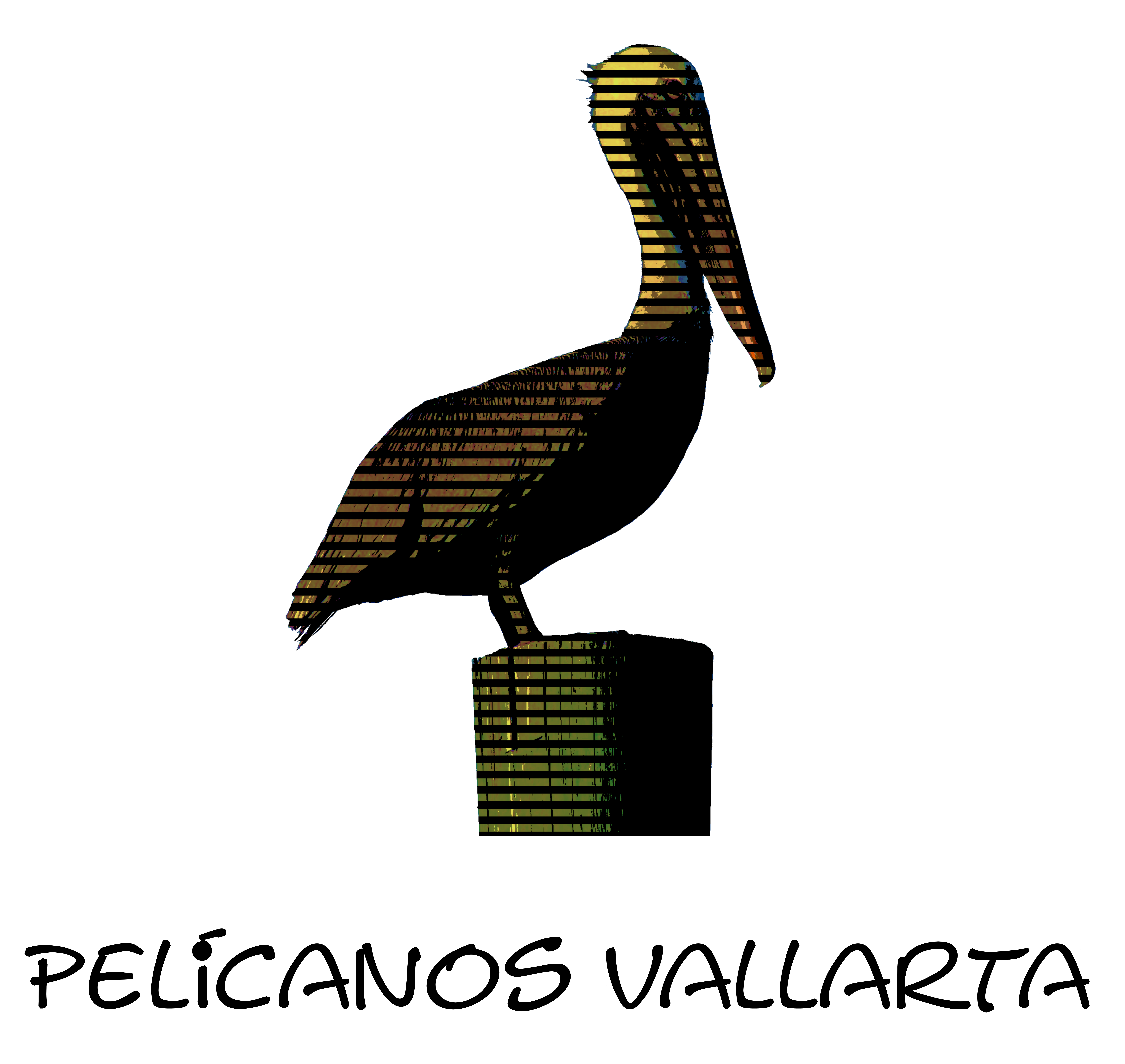 Pelicanos Vallarta