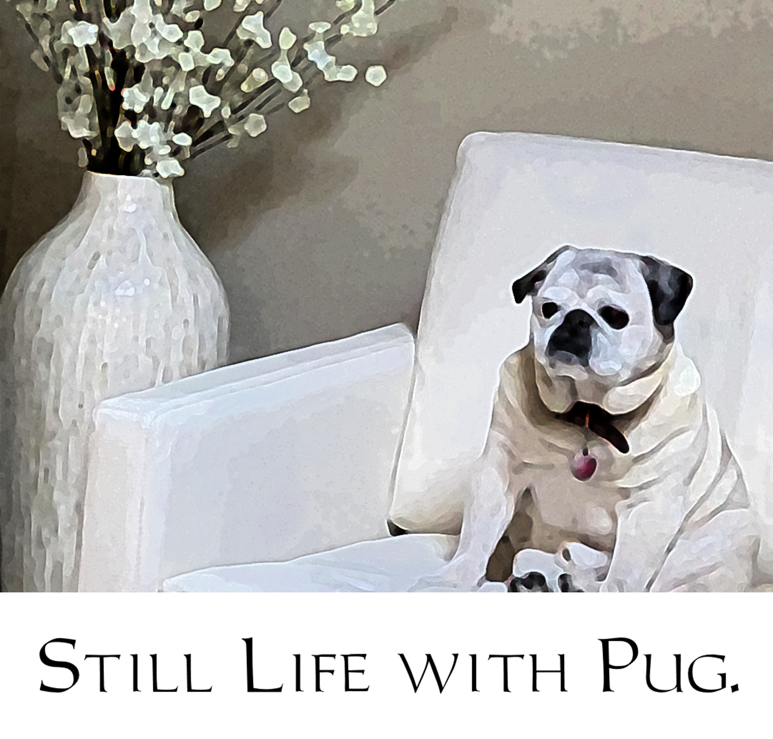 Still life with pug.